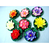 10 Flor De Loto Chicas  -11 Cm   Flotantes