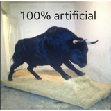 Animales Disecados 100% Artificiales