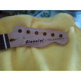 Guitarra Giannini Telesonic - Waterslide Do Logotipo