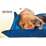 Caminha Cama Térmica 0,60 X 0,50 Cães E Gato Pet Azul 220v