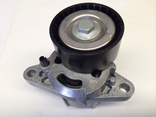 Polea Tensora Alternador Clio Platina Original Ga355.14