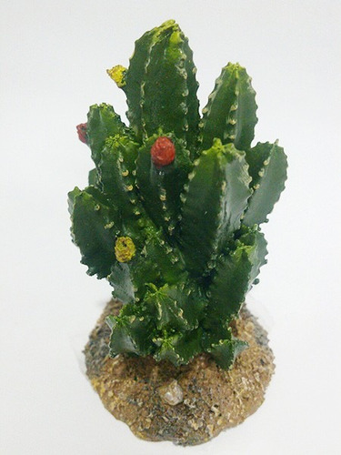 Planta Artificial Cactus Madacaru Aquário Terrário Decoração
