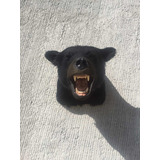 Animales Disecados 100 % Artificiales Oso Negro (black Bear)