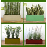 Maceta Jardinera 100x22cm + Plantas Para Tu Comercio, Balcón