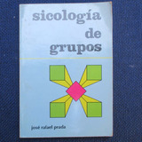 Sicologia De Grupos, Jose Rafael Quezada Prada, Ediciones Pa