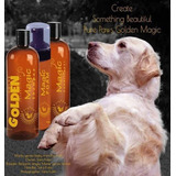 Golden Magic Pure Paws Shampoo Para Golden Poms Terriers