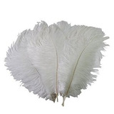 Mersuii 50 Pcs Decoración Avestruz Plumas 25-30cm) (blanco)