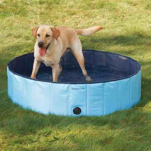 Alberca O Piscina Guardian Gear Para Perro Mediana