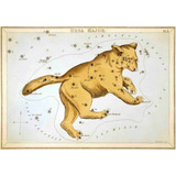 Lienzo Tela Canvas Arte Constelación Osa Mayor 1825 50x72