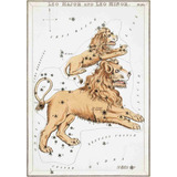 Lienzo Canvas Arte Constelación Leo 1825 50x72 Astronomía