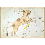 Lienzo Canvas Arte Constelación Lynx 1825 50x72 Astronomía