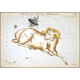 Lienzo Canvas Arte Constelación Aries 1825 50x72 Astronomía