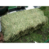 2 Kg Heno De Alfalfa Conejos Cobayos Cuyos Roedores Alimento