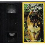 Los Grandes Gatos National Geographic Video Vhs