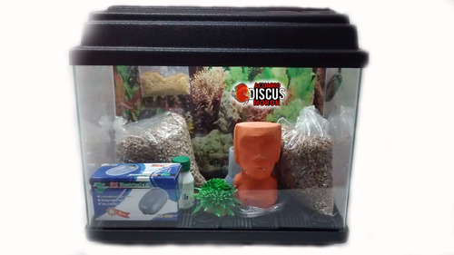 Kit Pecera Acuario 100x50x40 Premium Tapa Led Y Base 