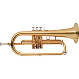 Flugel Horn  Bb + Estuche Stagg Wsfh215s