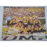 Criciúma Campeão Catarinense 1995 Poster Placar Avulso