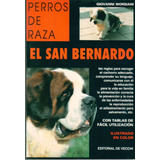 El San Bernardo - Perros De Raza - Giovanni Morsiani