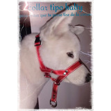 Collar Antijalones Para Perros Estilo Halti 