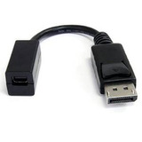 Startech.com Dp2mdpmf6in 6 Pulgadas Displayport A Mini Displ