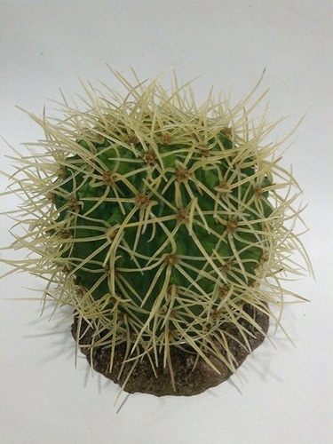 Planta Artificial Cactus Bola Aquário, Terrário E Decoração