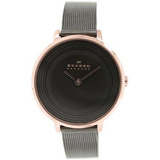 Reloj Gris Skagen Para Mujeres Skw2277