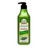 Shampoo Romero Crecepelo Nevada - mL a $53