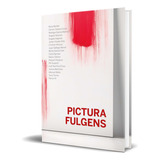 Libro Pictura Fulgens [ Aa.vv. ] Original