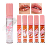 Brillo Labial Lip Gloss Satinado Flamenco Maquillaje Pack 6