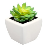 Planta Decorativa Suculenta 10cm Artificial Maceta Blanca