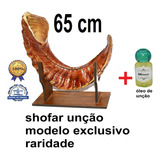 Shofar De Chifre De Carneiro De Ungir/unção + Suporte 19