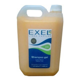 Shampoo Exel Linea Gel Cabello Peluquería Profesional  X3800