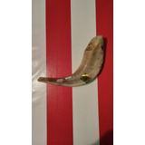 Shofar De Carnero 