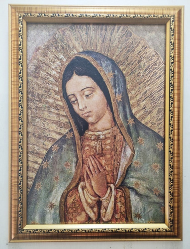 Virgen De Guadalupe Con Rosas 43 X 31 Cms En Marco Dorado B