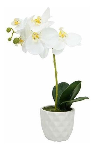Arreglos De Orquídeas Artificiales De Seda Blanca Con Jarrón