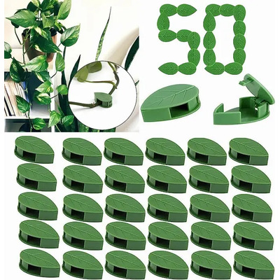 50 Clips De Fijación Para Pared De Escalada Para Plantas | Envío gratis