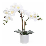 Ezflowery Flores Artificiales De Orquídeas Phalaenopsis Con 