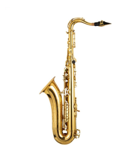 O Sax Tenor Ggts-500 Alfa