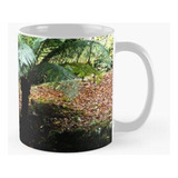 Taza Pixie Glade Calidad Premium