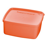 Tupperware Pote Freezer Jeitosos 400 Ml Cores Sortidas