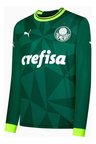 Camisa Palmeiras I Puma 23/24 Ml Verde