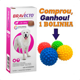 Bravecto Antipulgas Carrapatos Cães 40 A 56kg 12x S/ Juros