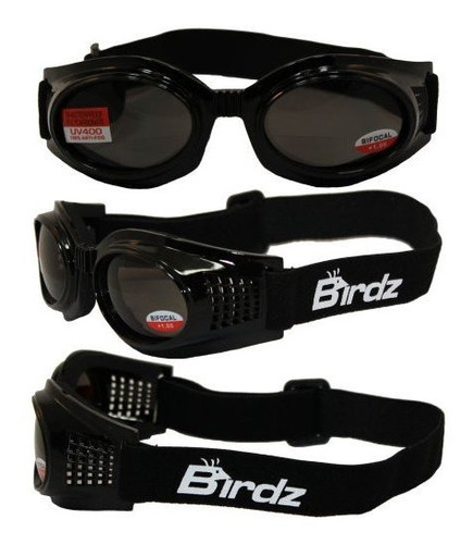 Gafas Motos Birdz Eyewear Kite Gafas De Moto 1.0x Lente Bifo