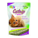 Catnip P/gatos 28 G