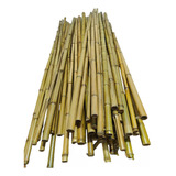 50 Varas De Bambú Adorno Decoracion 1.5m Largo /2-3cm Grosor