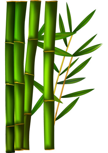 Caña De Bambu Para Cerco Vivo En Terron. Mire La Promo X100u