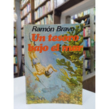 Libro. Un Tesoro Bajo El Mar. Ramón Bravo.