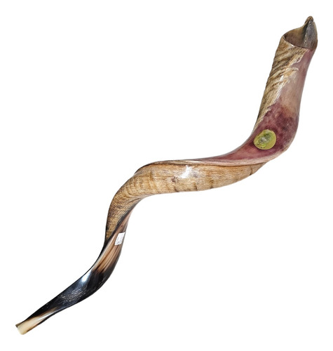 Shofar De Israel 93 Cm Sh30