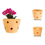 Vaso Barro Orquidea Premium Floreira Parede Jardim G 4pçs