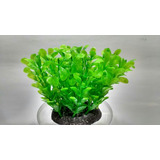 Planta Artificial Plástica Buquê Verde Flúor 10x7 Cm Aquário